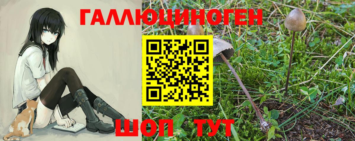 Муравленко  Галлюциногенные грибы Magic Shrooms  Вход с VPN  Псилоцибиновые грибы Psilocybine cubensis 