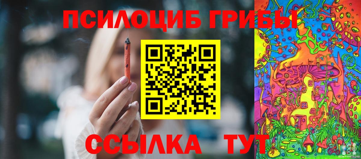 Псилоцибиновые грибы прущие грибы Муравленко